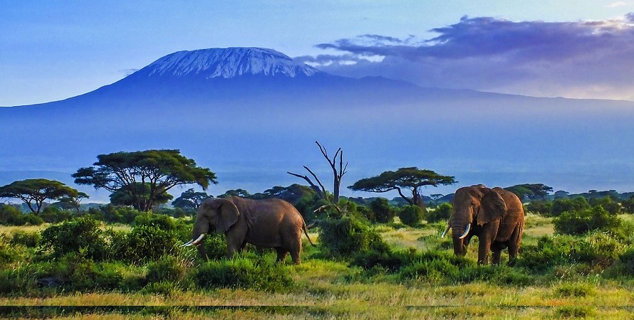 Amboseli gallery 4