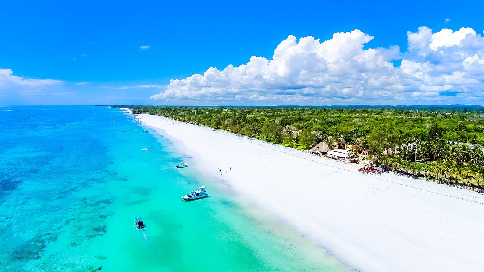 Diani Beach: Kenya's Premier Luxury Beach Destination