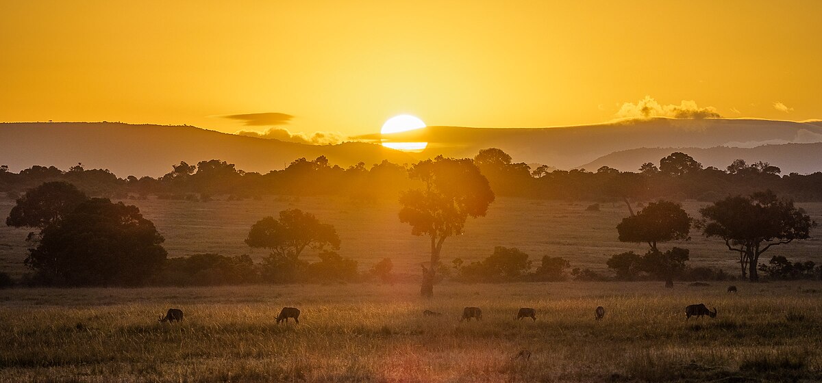 Kenya Safari Experience