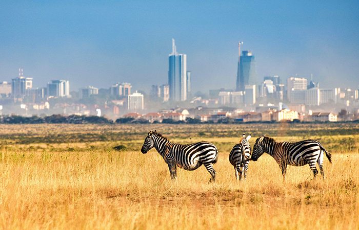 9-Day Kenya Safari: Nairobi to Mountains, Plains & Beach