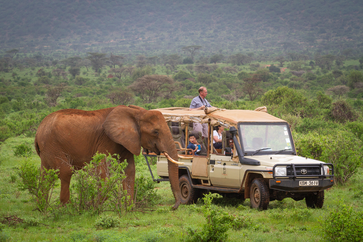 Samburu National Reserve: Beyond the Big Five